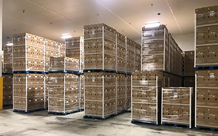 Automated Cold Warehouse solutions